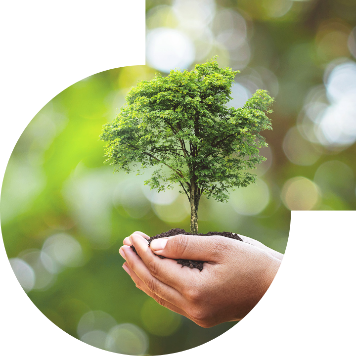 关怀人类、文化、环境与社会